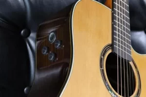 Violão Strinberg É Bom